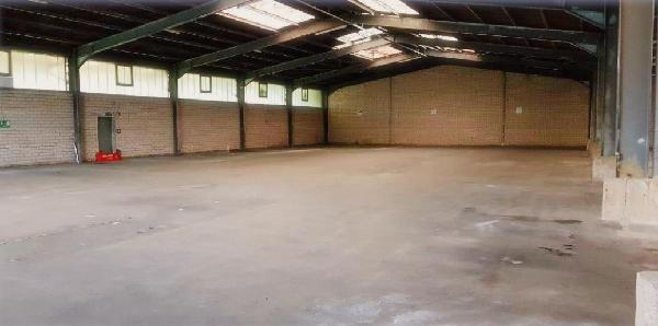 K800_61 Halle Oldi leer.JPG