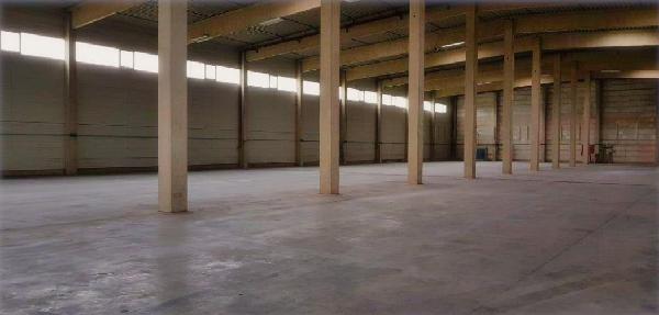 K800_60 Halle gr. leer.JPG